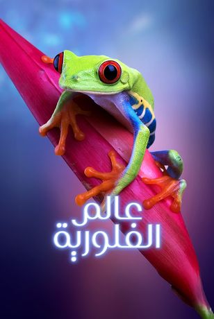عالم الفلورية