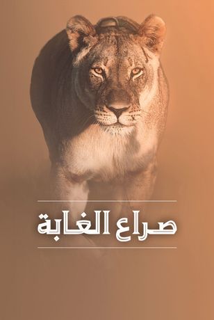 صراع الغابة