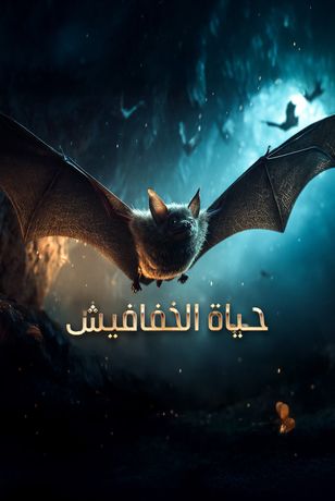 حياة الخفافيش
