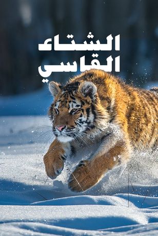 الشتاء القاسي