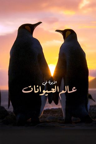 الأبوة في عالم الحيوانات