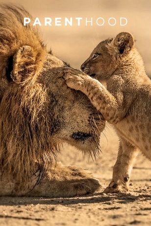 الأبوة عند الحيوانات