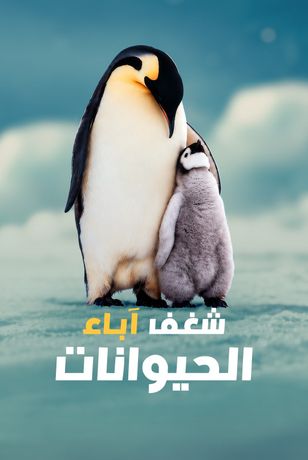 شغف آباء الحيوانات