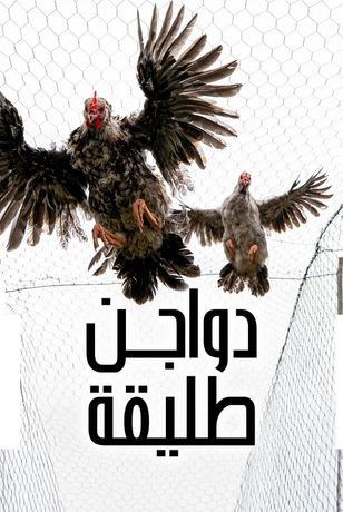 دواجن طليقة
