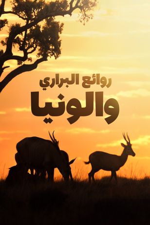 روائع البراري: والونيا