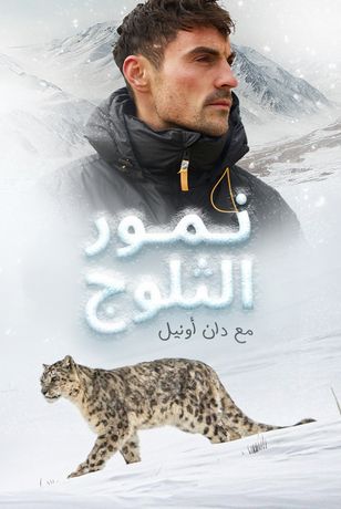 نمور الثلوج مع دان أونيل