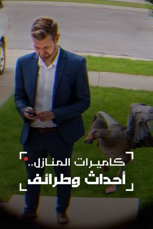 كاميرات المنازل.. أحداث وطرائف