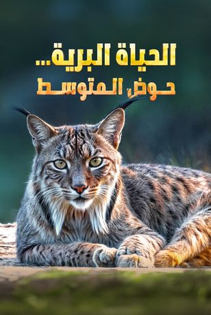 الحياة البرية.. حوض المتوسط