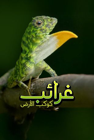 غرائب كوكب الأرض