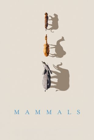 الحيوانات اللبونة - Mammals
