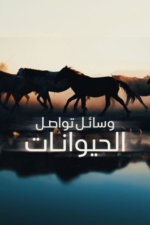 وسائل تواصل الحيوانات