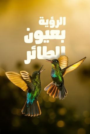 الرؤية بعيون الطائر