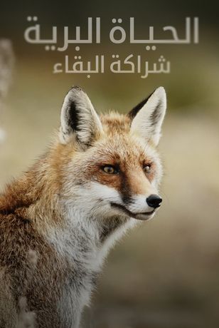 الحياة البرية.. شراكة البقاء