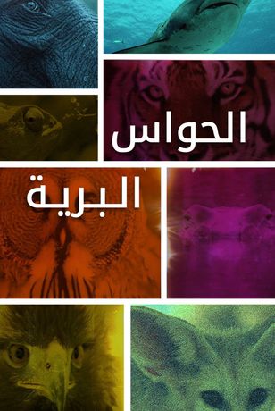 الحواس البرية