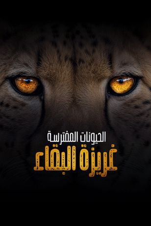 الحيوانات المفترسة.. غريزة البقاء