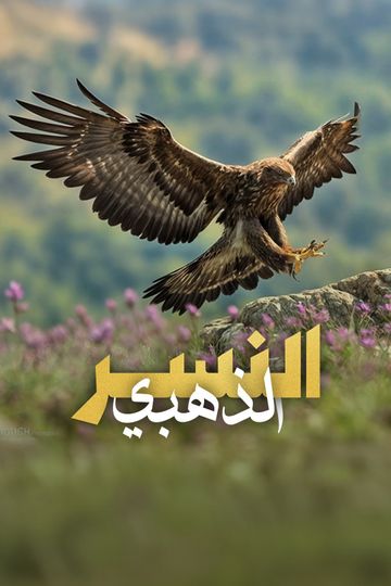 النسر الذهبي