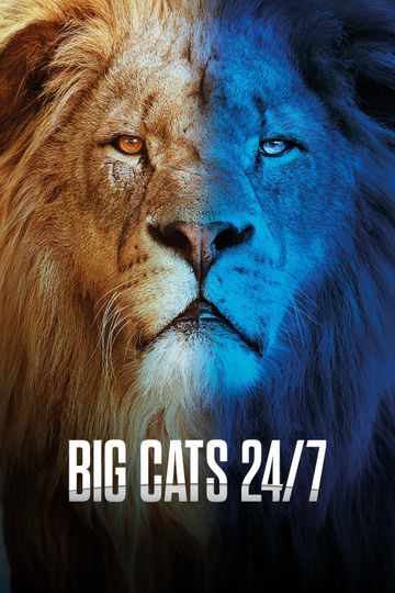 القطط الكبيرة - Big Cats 24/7