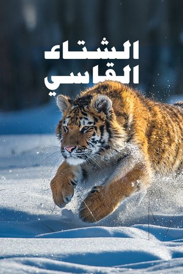 الشتاء القاسي