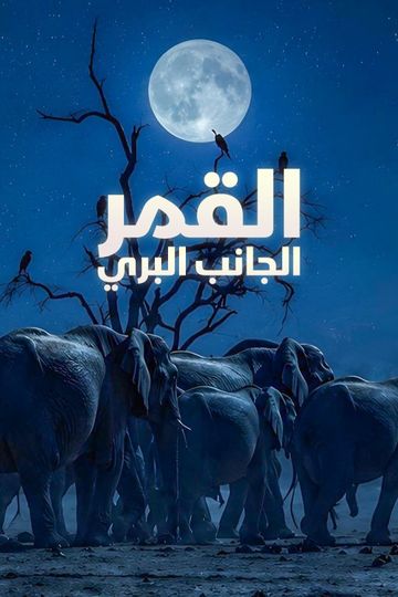 القمر.. الجانب البري