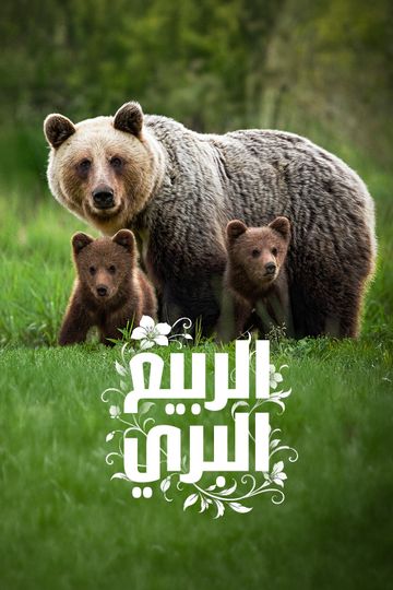 الربيع البري
