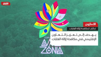 الأمازون.. تحالف لمكافحة إزالة الغابات