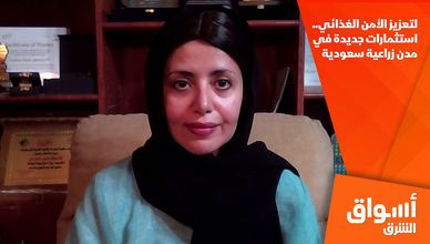 لتعزيز الأمن الغذائي.. استثمارات جديدة في مدن زراعية سعودية