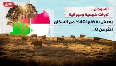 السودان.. ثروات طبيعية وحيوانية