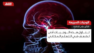 الوجبات السريعة.. ما التأثير على الذاكرة؟