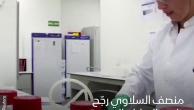 سلالة كورونا الجديدة - خطورة بلا دليل