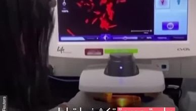 علاقة دخان الحرائق بفيروس كورونا