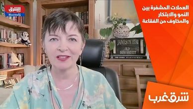العملات المشفرة بين النمو والابتكار والمخاوف من الفقاعة