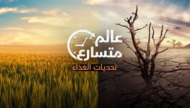 تحديات الغذاء