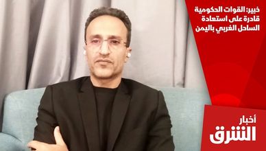 خبير: القوات الحكومية قادرة على استعادة الساحل الغربي باليمن