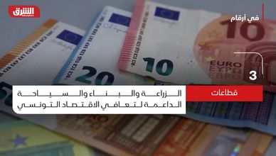 البنك الدولي يرفع توقعات نمو تونس.. تعاف تدريجي بعد سنوات من الأداء المحدود