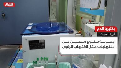 بكتيريا الدم.. أبرز المسببات