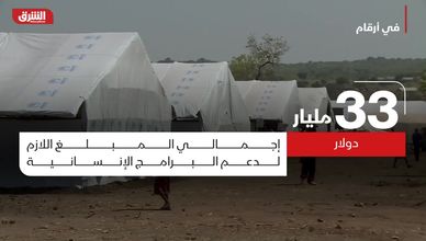 في أرقام.. حجم الدعم المالي للبرامج الإنسانية