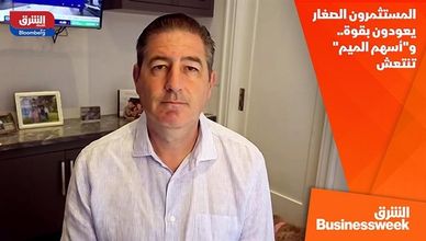 المستثمرون الصغار يعودون بقوة.. و"أسهم الميم" تنتعش