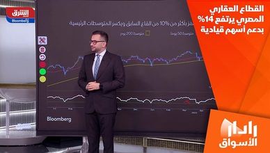 القطاع العقاري المصري يرتفع 14% بدعم أسهم قيادية