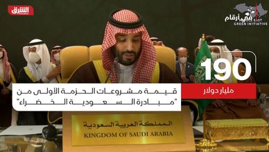 في أرقام.. مبادرة السعودية الخضراء