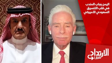 اليمن وباب المندب في قلب التنسيق السعودي الأميركي