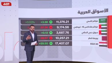 زيدان: تشاؤم في الأسواق بشأن الليرة التركية بسبب سياسة أردوغان النقدية