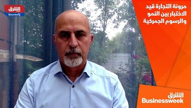 مرونة التجارة قيد الاختبار بين النمو والرسوم الجمركية