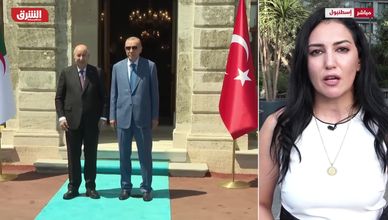أردوغان وتبون يبحثان أوجه التعاون بين تركيا والجزائر
