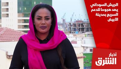 الجيش السوداني يصد هجوما للدعم السريع بمدينة الأبيض
