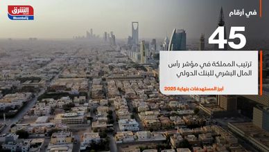 في أرقام.. وثيقة برنامج تنمية القدرات البشرية