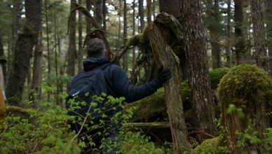 ضباب الرعب الكامن