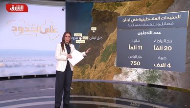 اختبار محفوف بالمخاطر.. ما مصير السلاح الفلسطيني في لبنان؟