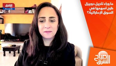 ما وراء تأجيل دوبيزل طرح أسهمها في السوق الإماراتية؟