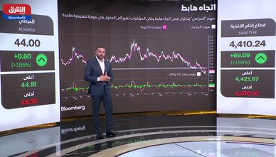 أداء "المراعي" وقطاع الأغذية.. تحليل الاتجاهات وفرص الاستثمار
