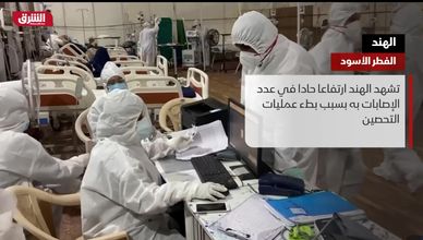 الهند.. الفطر الأسود